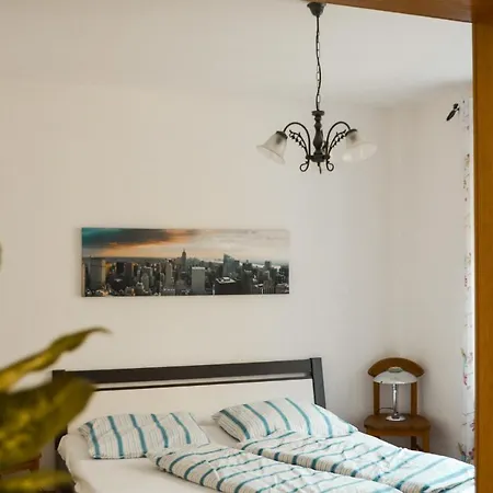 Apartment Quartier Pauline *